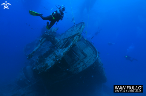 A THE SS THISTLEGORM 