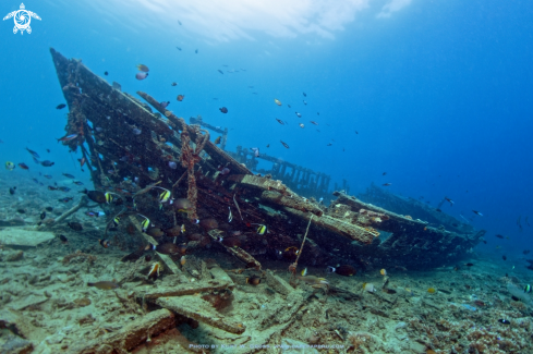 A Pinissi | A old sailing boat