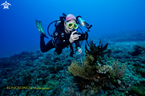 A Coral reef