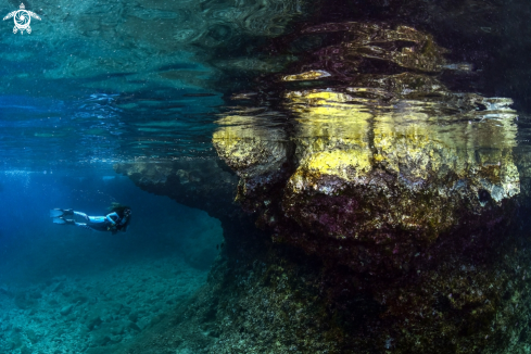 A Croatia Underwater