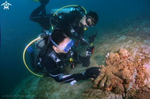 A Couple and Nudibranch