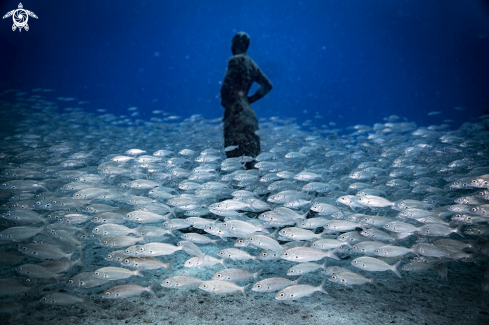 A Playa Blanca | Museo Atlantico