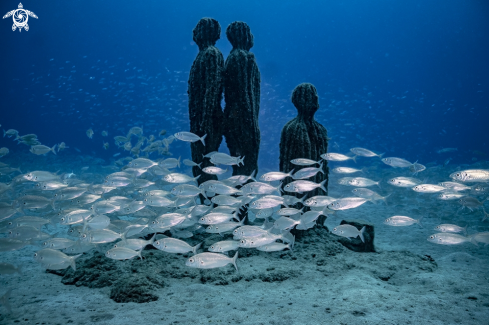 A Playa Blanca | Museo Atlantico