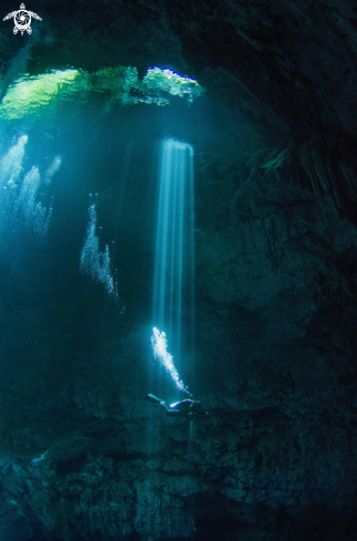 A Cenote Pit