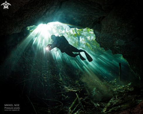 A Cenote Tajma Ha