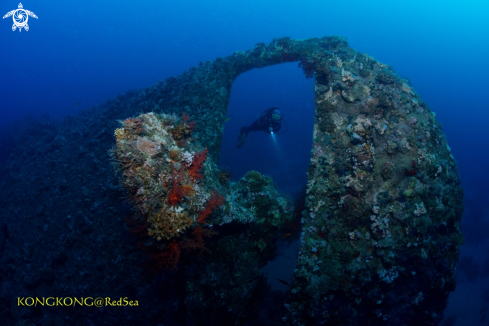 A Wreck of the Dunraven