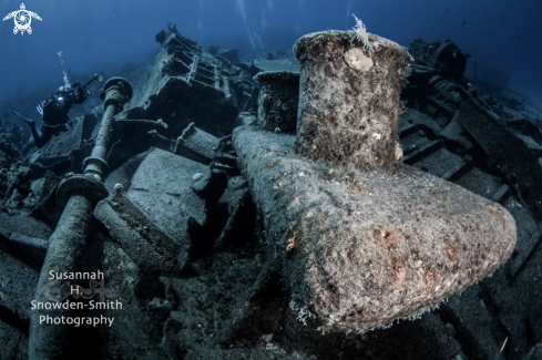 A Oro Verde Shipwreck