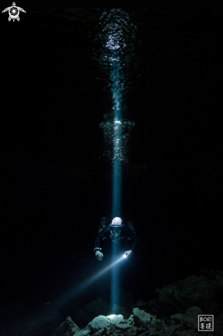 A SM Diver