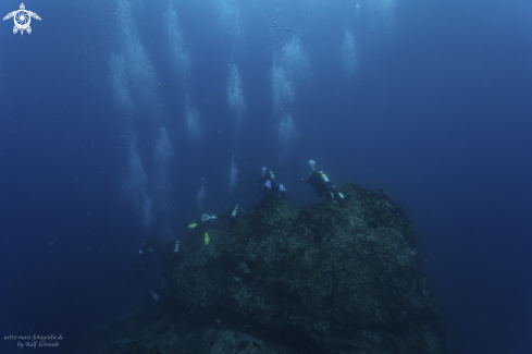 A Cocos Island