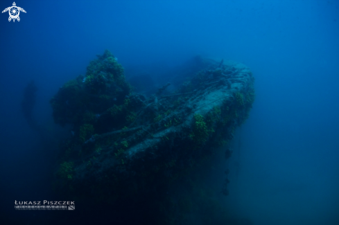 A underwater creature