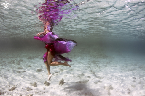 A Underwater Fashion Photo