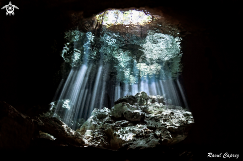 A Cenote