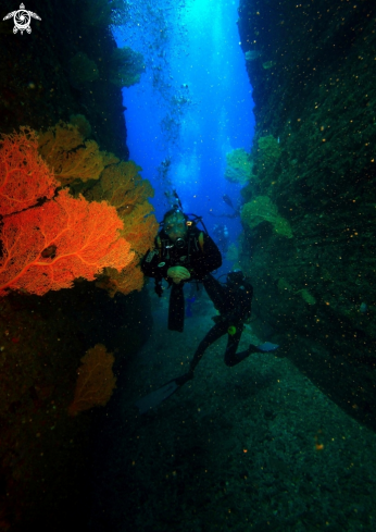 A Divers at Coin  de Mire 18m..