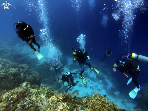 A scuba diving