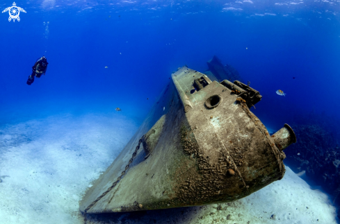 A USS Kittiwake