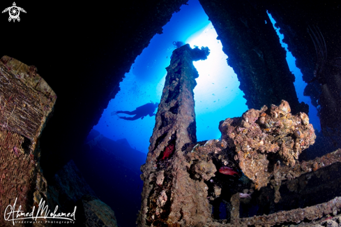 A SS Thistlegorm 