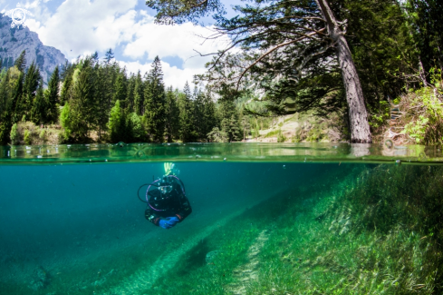 A underwater creature