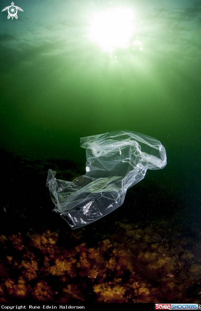 A Plastic bag