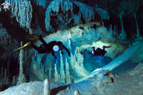 A Cenote Coop One