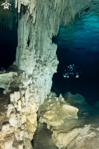 A cave diving