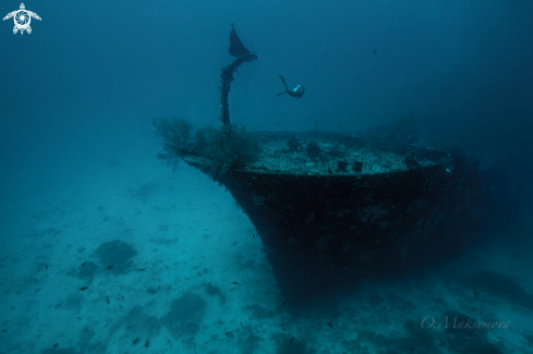 A Kuda giri wreck, south Male Atoll