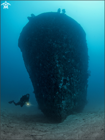 A Homo sapiens, Naufragium | Diver with wreck