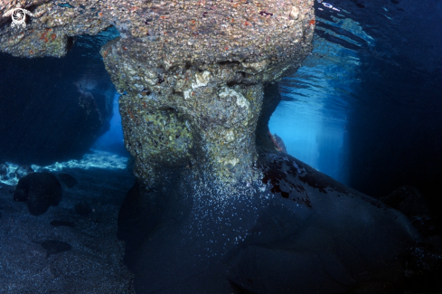 A Le Grotte di Ognina