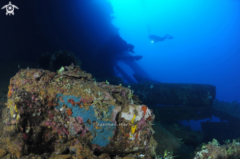 A Gosei Maru