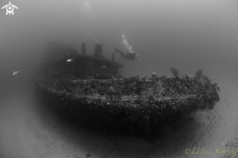 A McAllister wreck