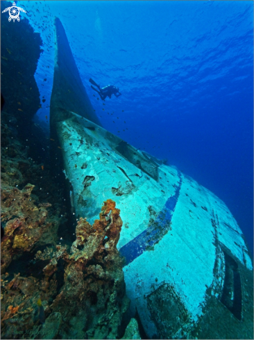 A Diver with wreck