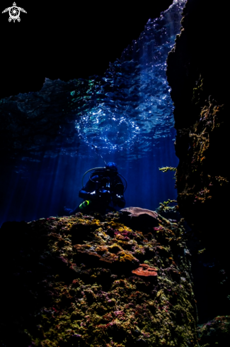 A Diver Portrait