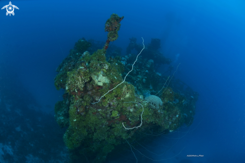 A Unkai Maru