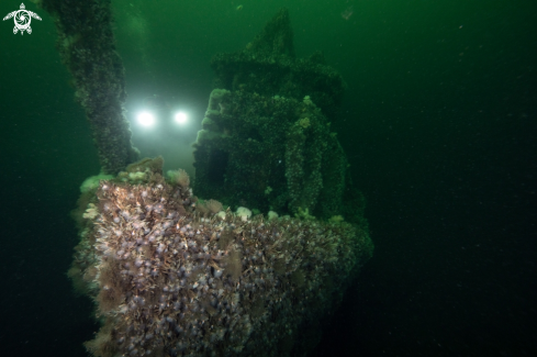 A Ship wreck