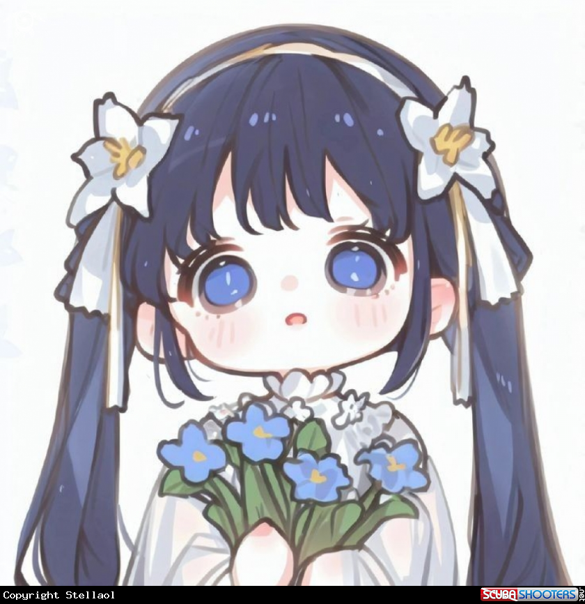 A Stellaol A Stellaol