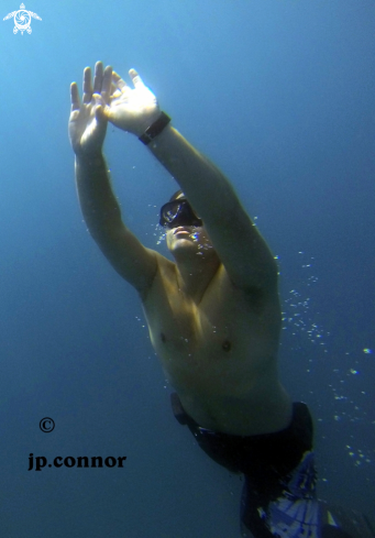 A Freediving