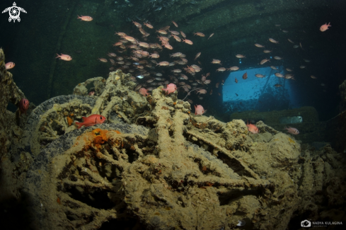 A Motocycles on Thistlegorm