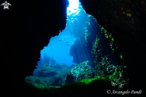 A Grotta Giannutri